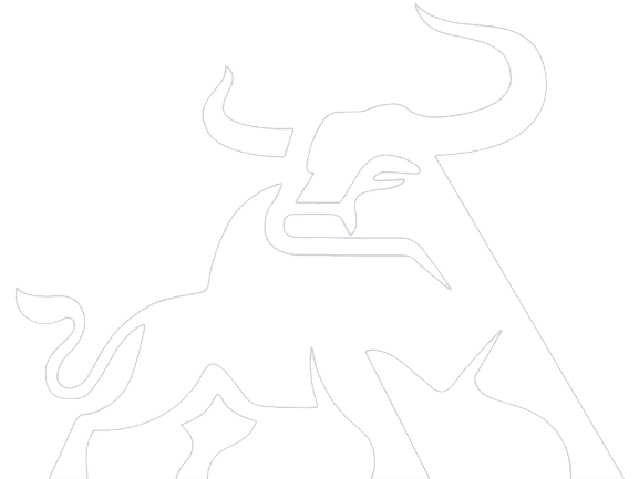 terkar capital bull
